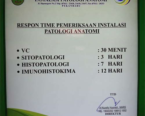 Lab Patologi Klinik Masih Dominasi Jumlah Pasien RSUD Arifin Achmad