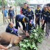 IBADAH QURBAN RSUD ARIFIN ACHMAD PROVINSI RIAU, PERERAT SILATURAHMI DAN TINGKATKAN TIM WORK