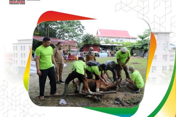 Penyembelihan Hewan Qurban Mesjid Al-Mustasyfa RSUD Arifin Achmad Provinsi Riau