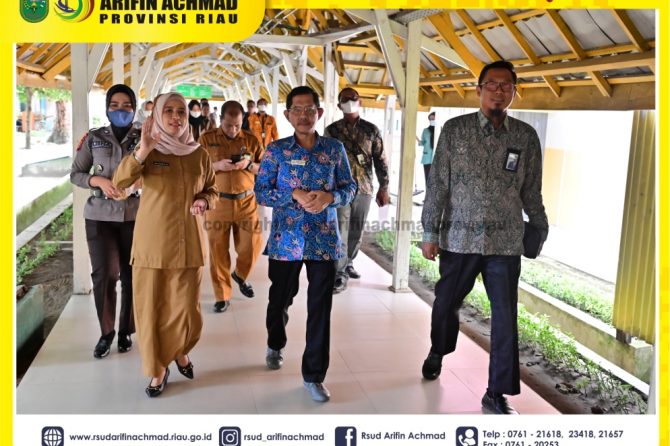 Direktur RSUD Arifin Achmad Provinsi Riau sambut kunjungan Wakil Ketua Ombudsman RI