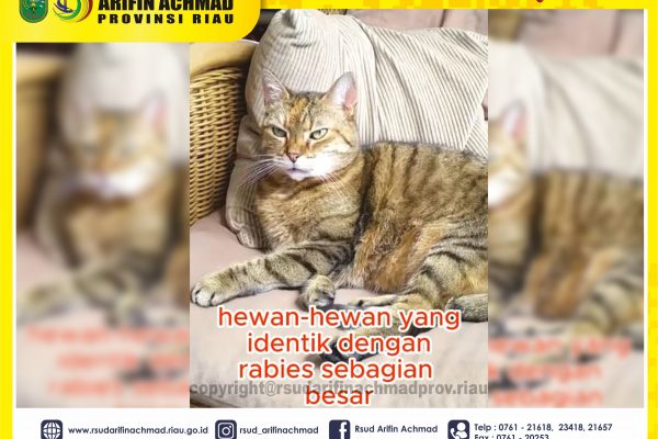 Mari kenali penyakit Rabies dan pencegahannya